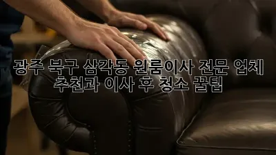 광주 북구 삼각동 원룸이사, 전문 업체 추천과 이사 후 청소 꿀팁!